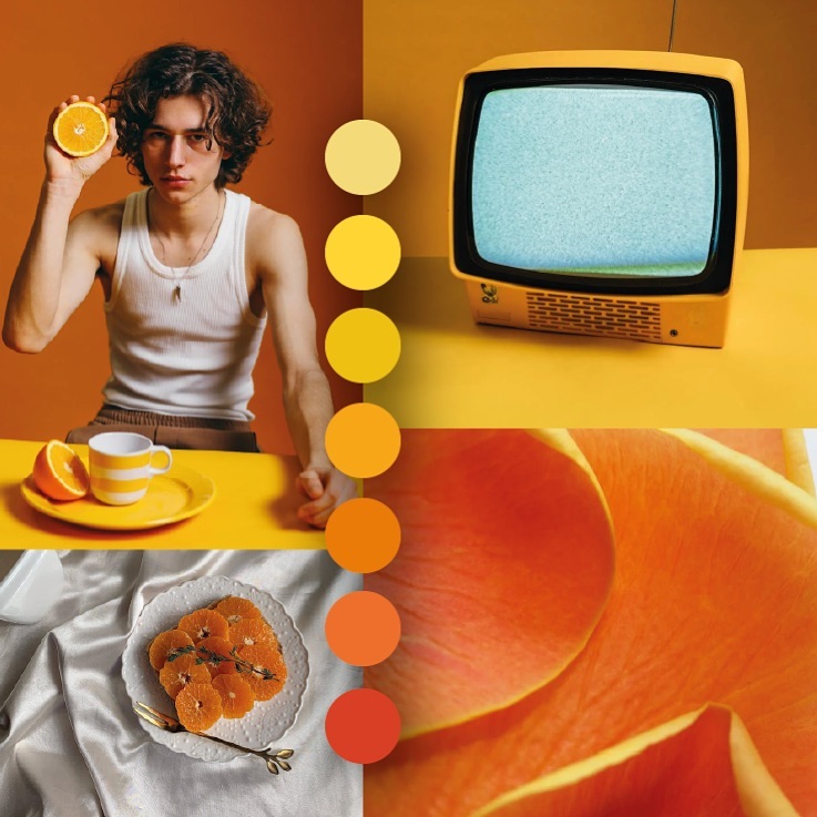 425234867_724158283182197_6697287289966327763_n